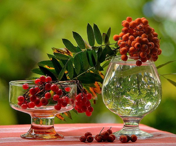 Прекрасного самочувствия и настроения