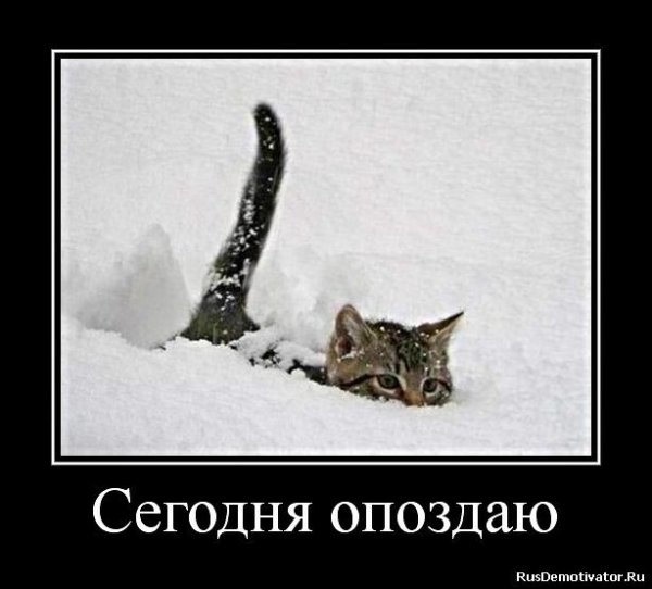 Демотиваторы про снег