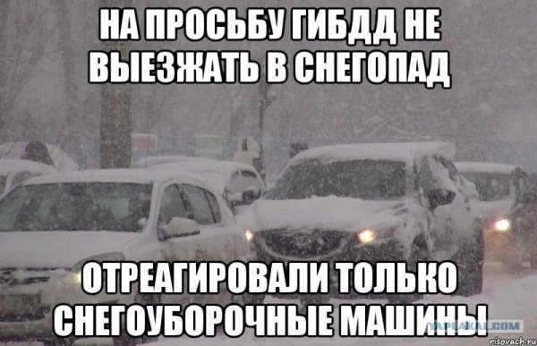 На просьбу ГИБДД не выезжать в снегопад отреагировали