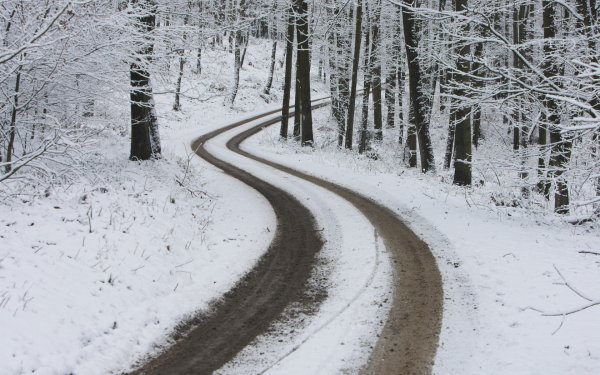 Дорожка в снегу
