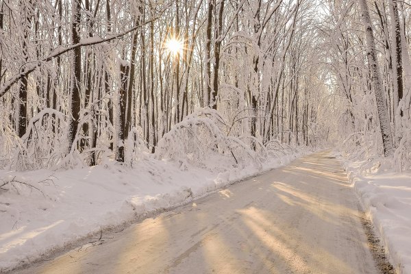 Заснеженная дорога в лесу