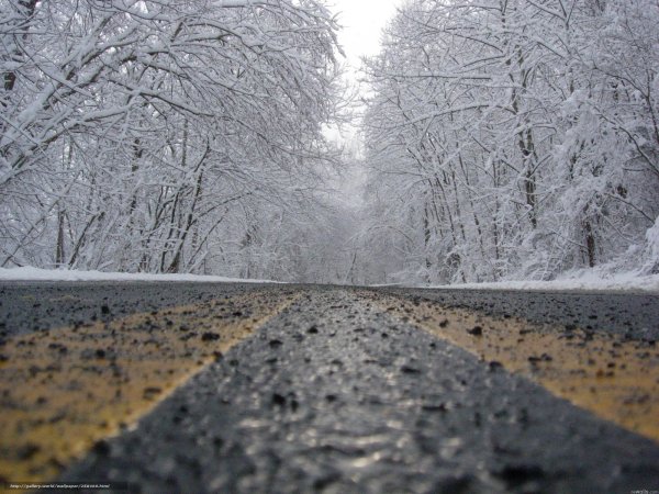 Осень слякоть снег