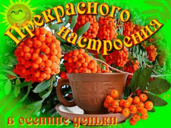 Отличного осеннего настроения
