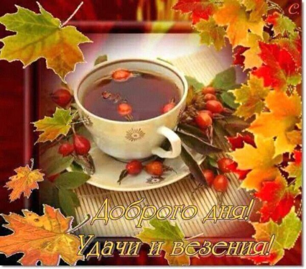 С добрым осенним утром субботы