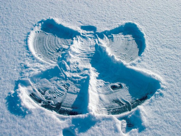 Снежный ангел на снегу