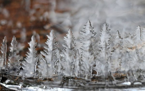 Лед в природе