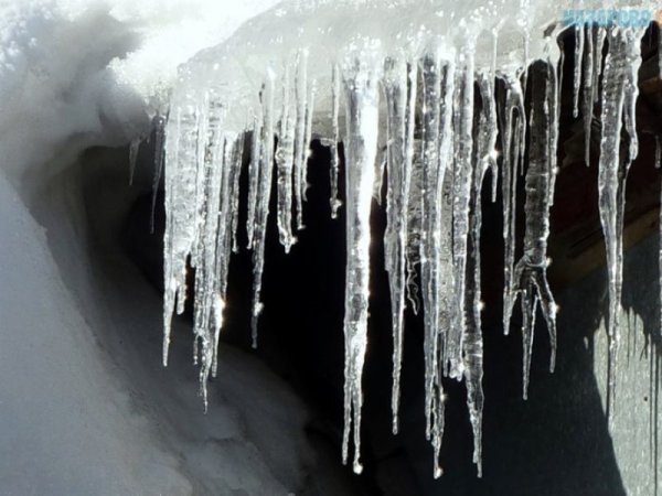 Ледяные сосульки