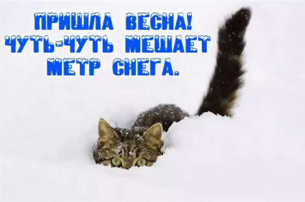 Весна чуть чуть мешает метр снега