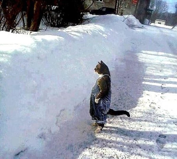 Весна ты где