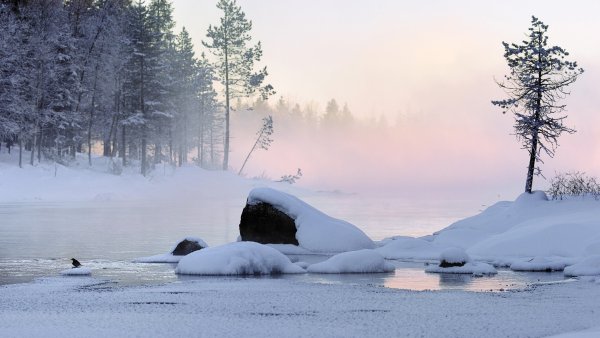 Снегопад на озере