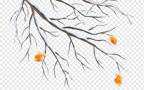 Ветки в снегу.на прозрачном