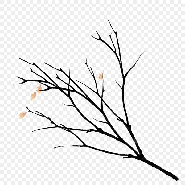 Веточка зимнего дерева для детей