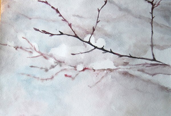 Ветка дерева акварель