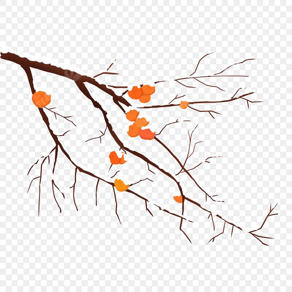 Зимняя ветка для детей в детском саду