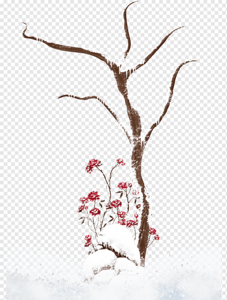 Ветка зимнего дерева на прозрачном