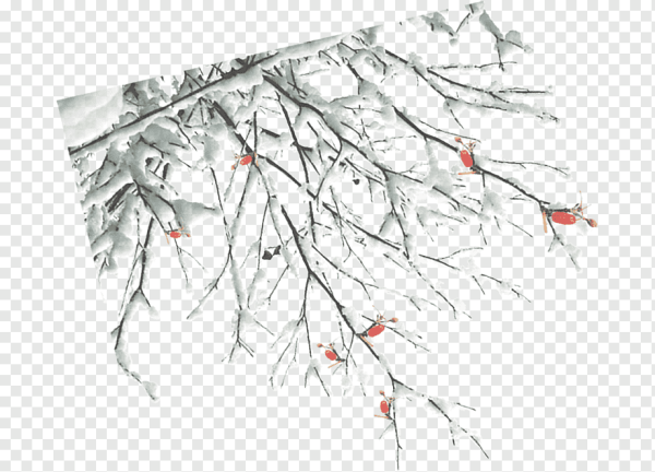 Зимняя ветка на прозрачном фоне