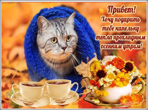 С добрым утром осенним с пожеланиями