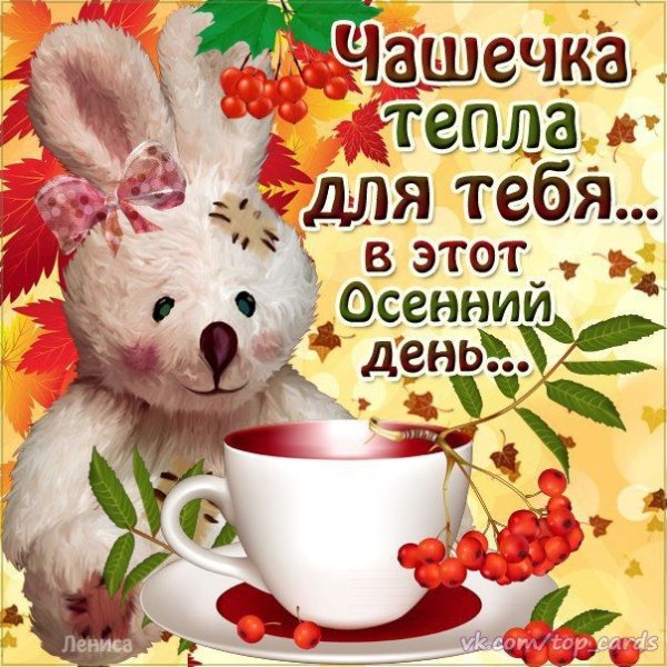 Чашечка тепла открытка