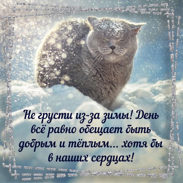 Поздравление с первым снегом