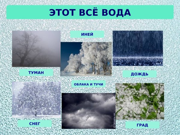 Явления природы иней