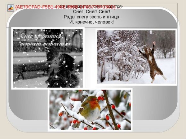 Снег снег снег рады снегу зверь и птица и конечно человек