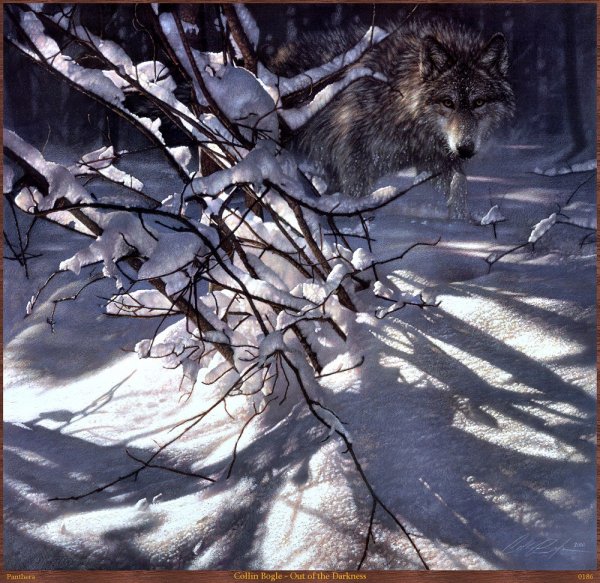 Коллин Богл