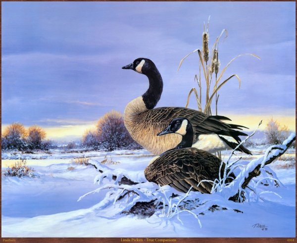 Линда Пикен Linda