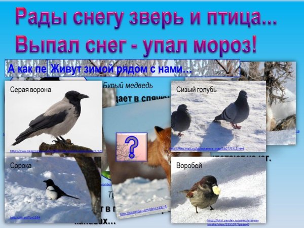 Рады снегу зверь и птица