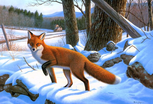 Животные леса зимой