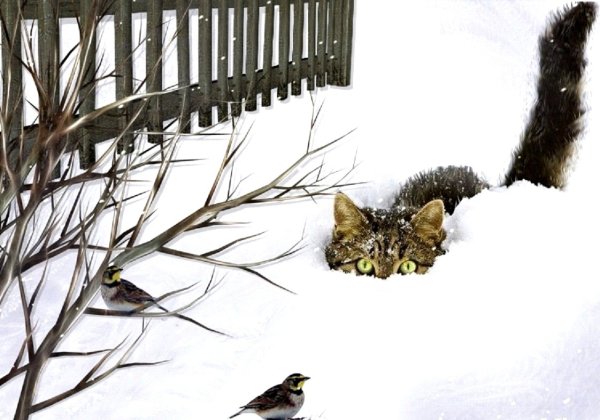 Кот охотится в снегу