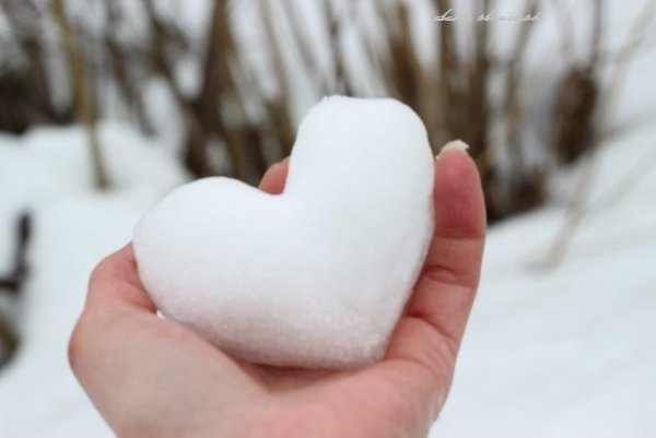Сердце из снега в ладонях