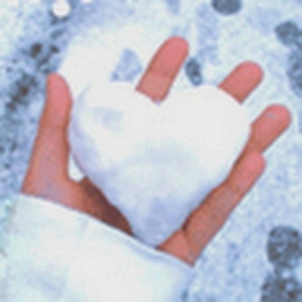 Сердце из снега в руках