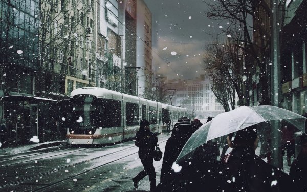 Снег в городе