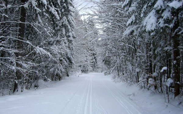 Снегопад фото