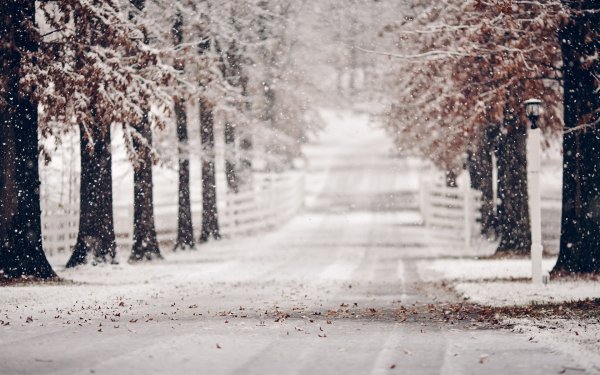 Падающий снег