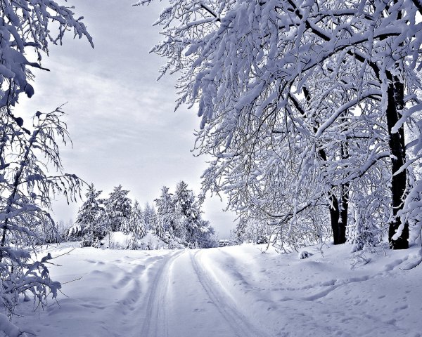 Зимние картинки красивые