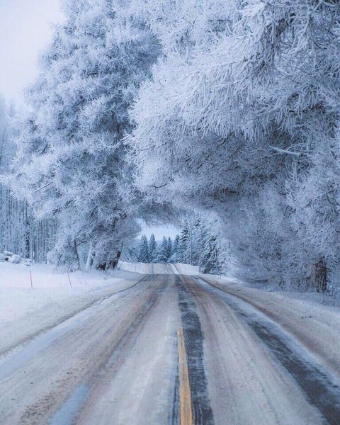 Дорога зимой