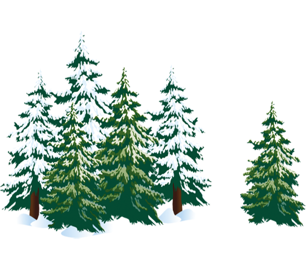 Прозрачный фон ель в лесу зимой