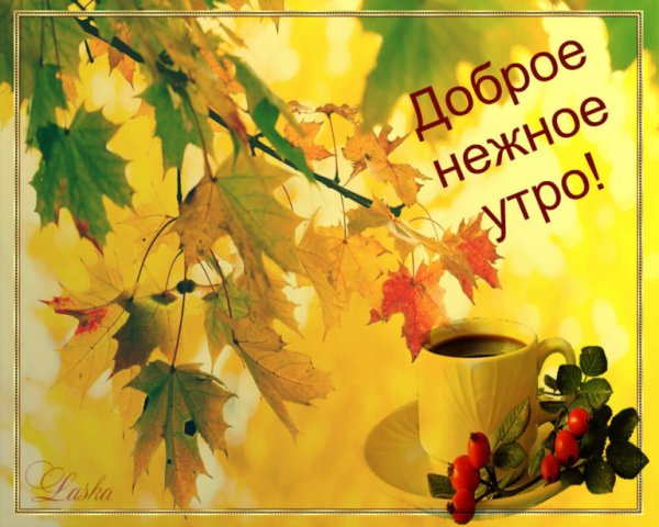 Доброго осеннего утра и хорошего дня