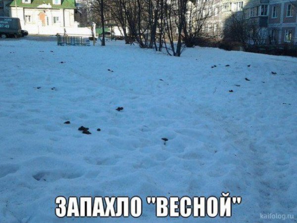 Мемы про весну