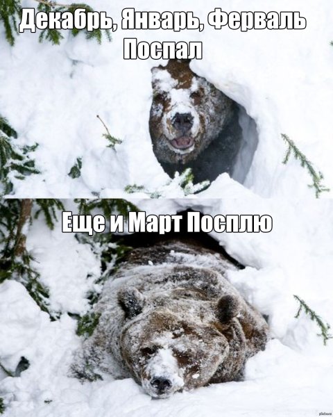 Шутки про снег весной