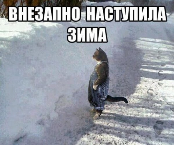Зима пришла неожиданно