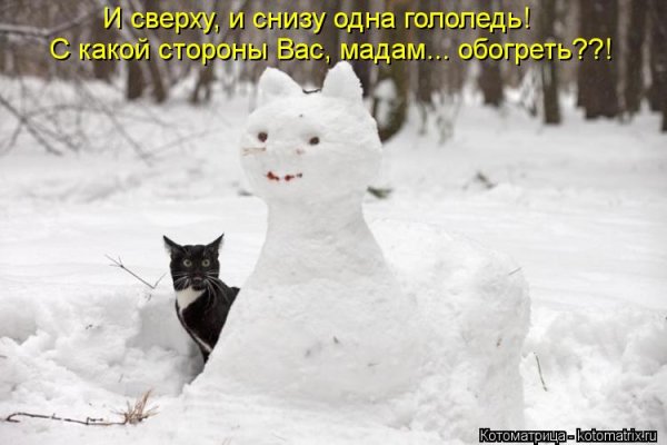 Шутки про зиму и весну