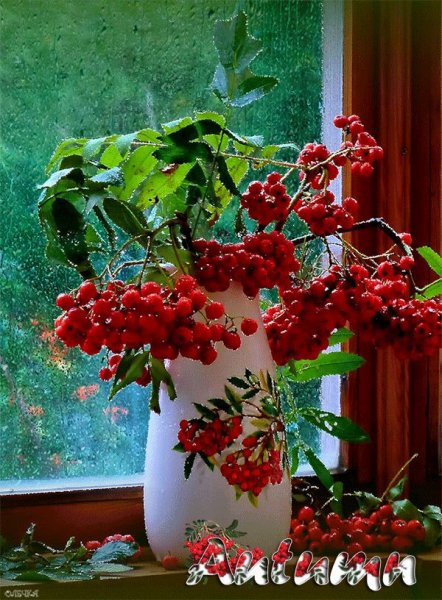 Доброго осеннего утра и здоровья