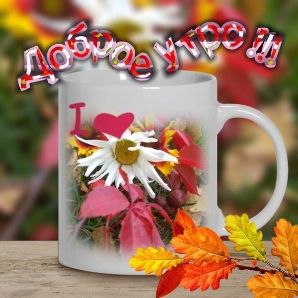 Доброе утро доброты и тепла