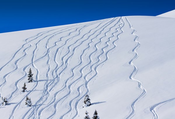 След от лыж вектор