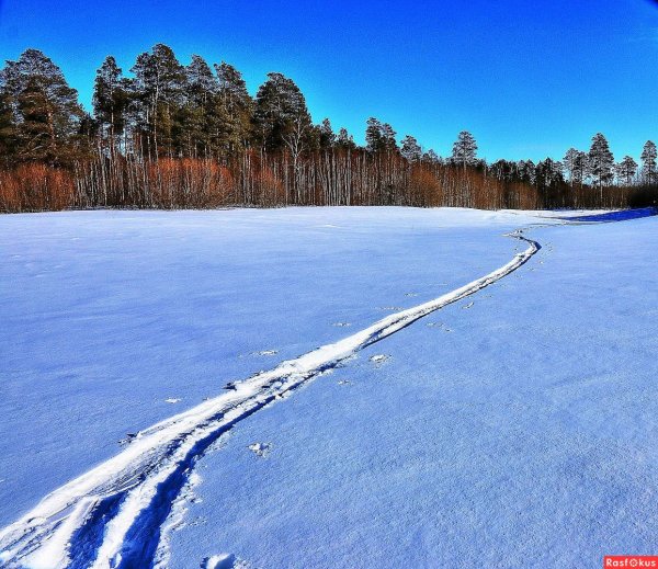 Следы лыж на снегу