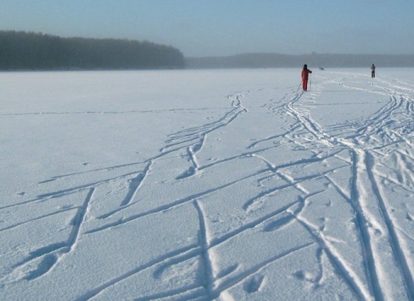 Следы лыжника