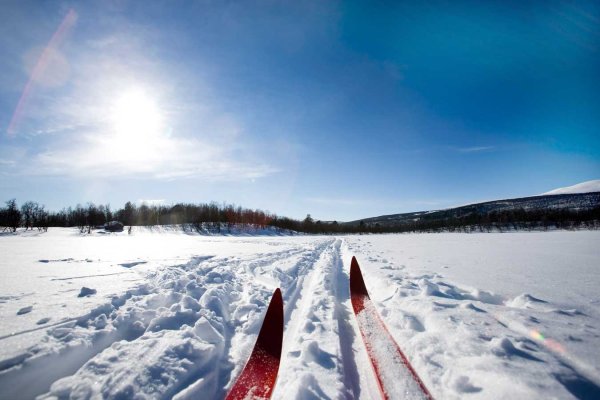 Лыжня солнце