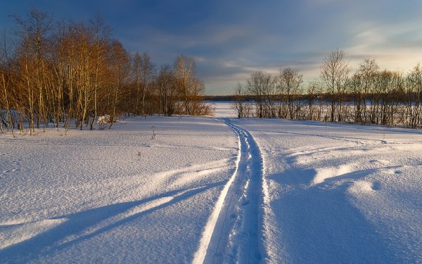 Зимняя Лыжня